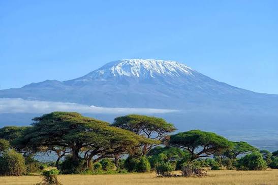 https://africa-safaris.com/uploads/0cfb6830-c74e-4193-b4e4-4cc7998b33b4.jpg