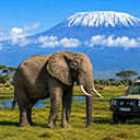 https://africa-safaris.com/uploads/eed36a42-ede6-4b21-b4eb-deceab6420af.png