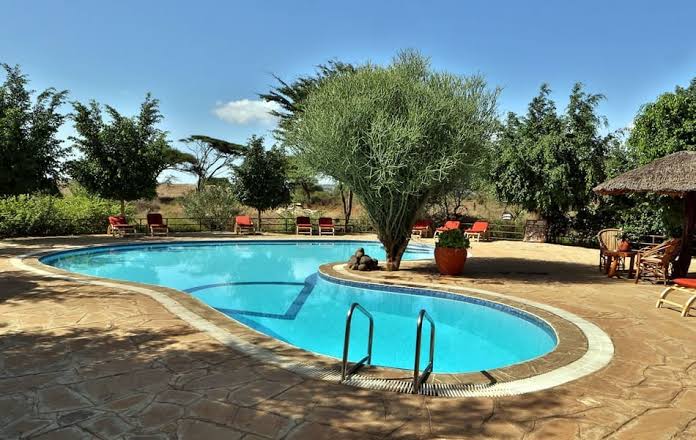 https://africa-safaris.com/uploads/f7d4ec82-b334-4662-914d-00b718b48b01.jpg